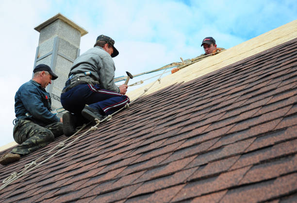 Best Roof Waterproofing Services  in Oxford, MI